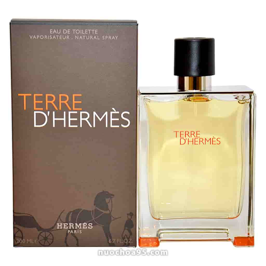 Nước hoa Terre D'Hermes EDT