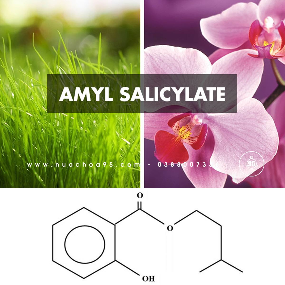 Hương Amyl Salicylate