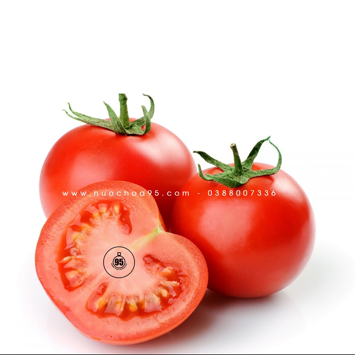 Quả cà chua