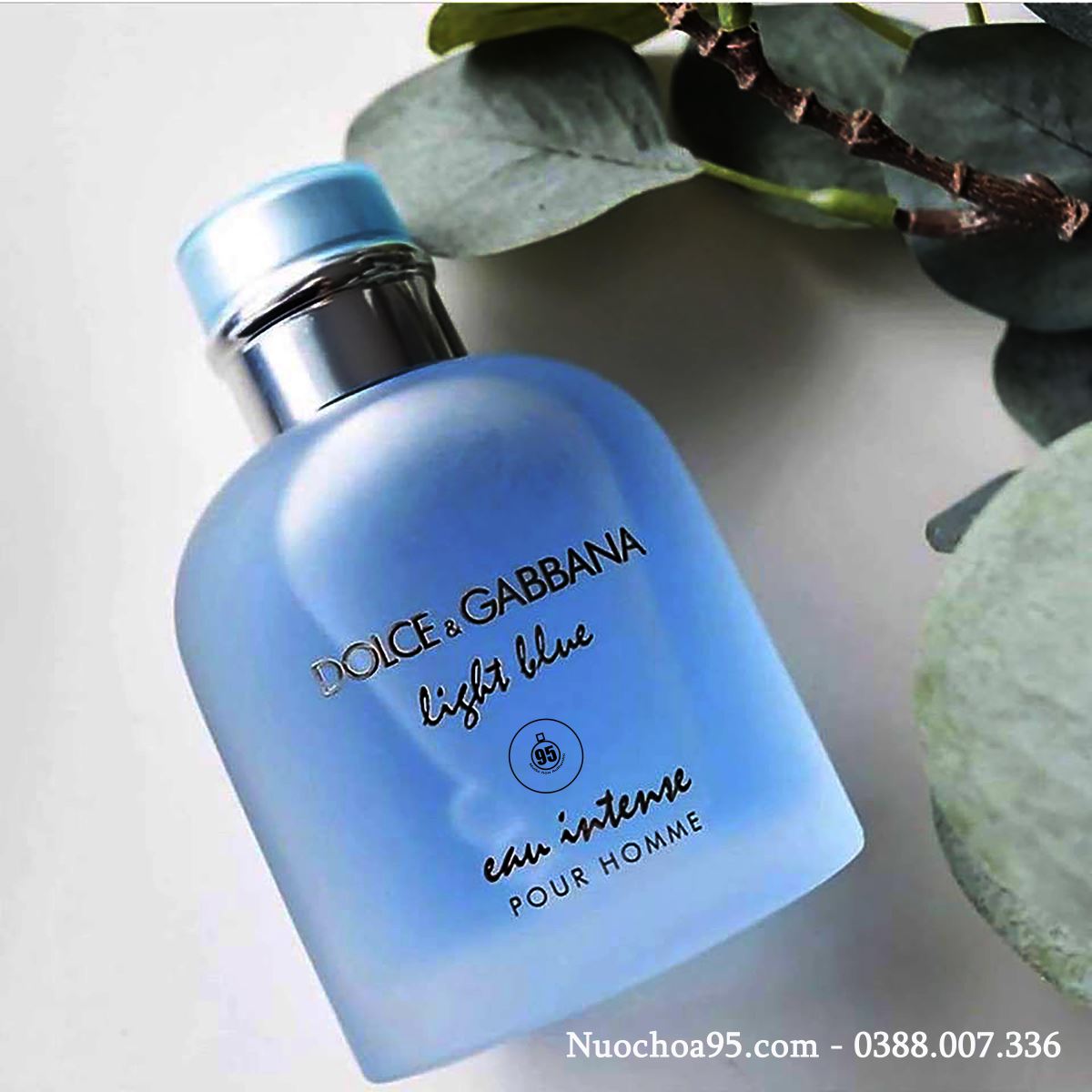 Nước hoa Dolce&Gabbana Light Blue Eau Intense Pour Homme - Ảnh 1