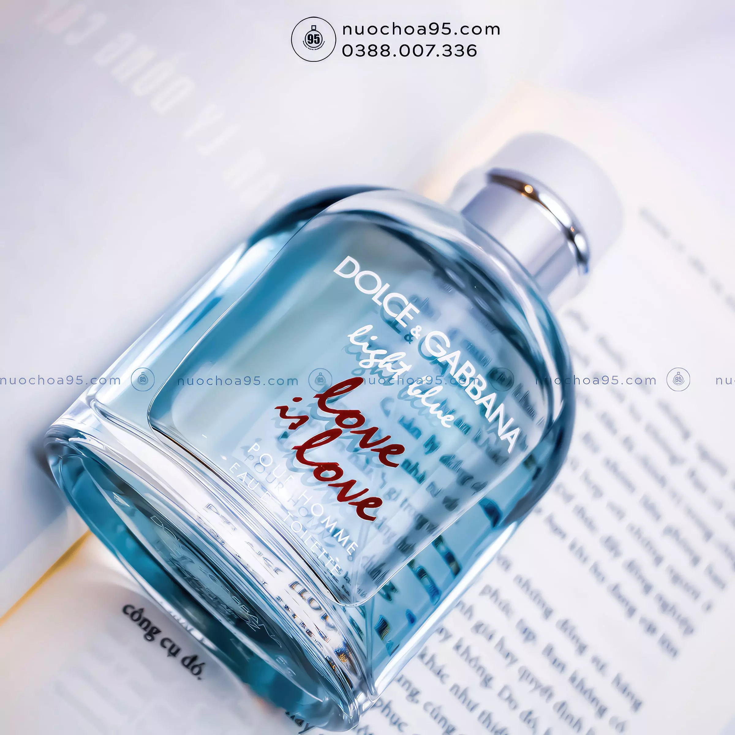 Nước hoa DG Light Blue Love Is Love Pour Homme - Ảnh 2