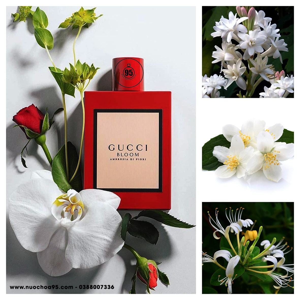Nước hoa Gucci Bloom Ambrosia Di Fiori - Ảnh 2