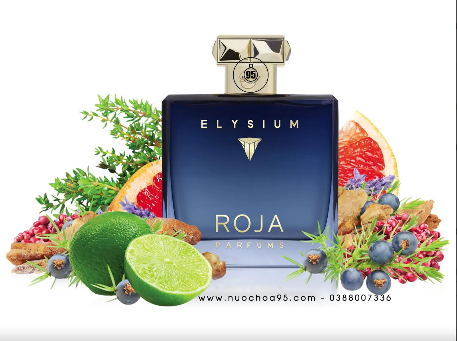 Nước hoa Roja Elysium Pour Homme Parfum Cologne - Ảnh 2