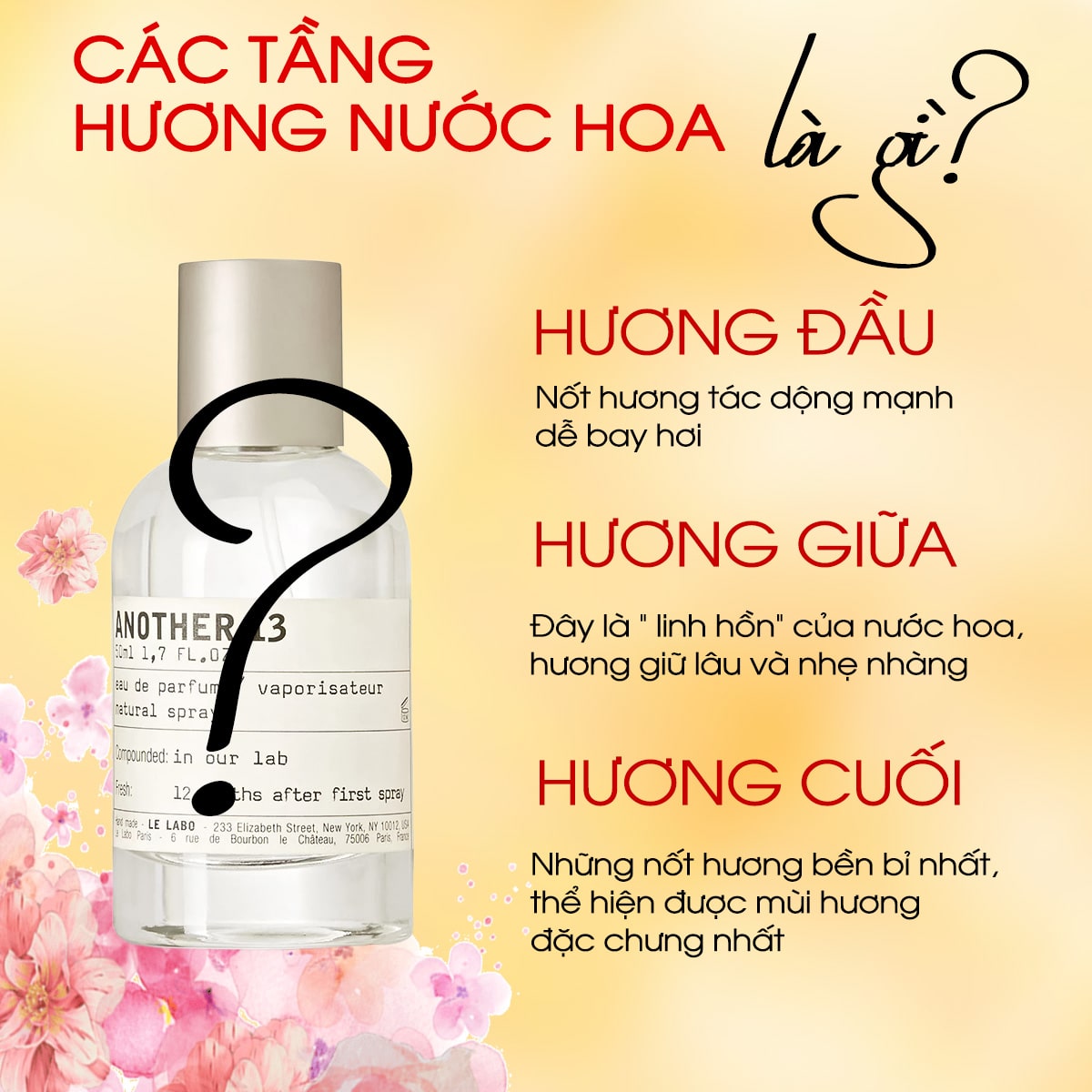 Chọn nước hoa theo lớp hương