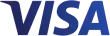 visa icon